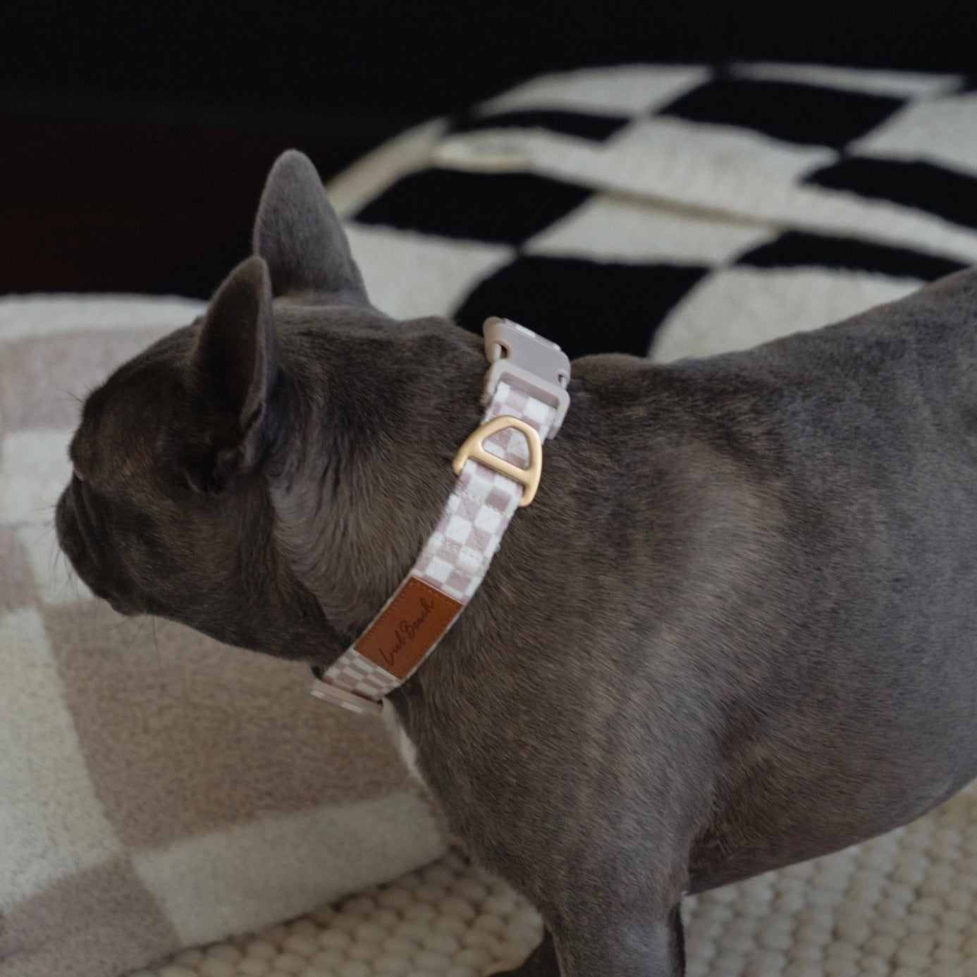 Checkered Dog Collar