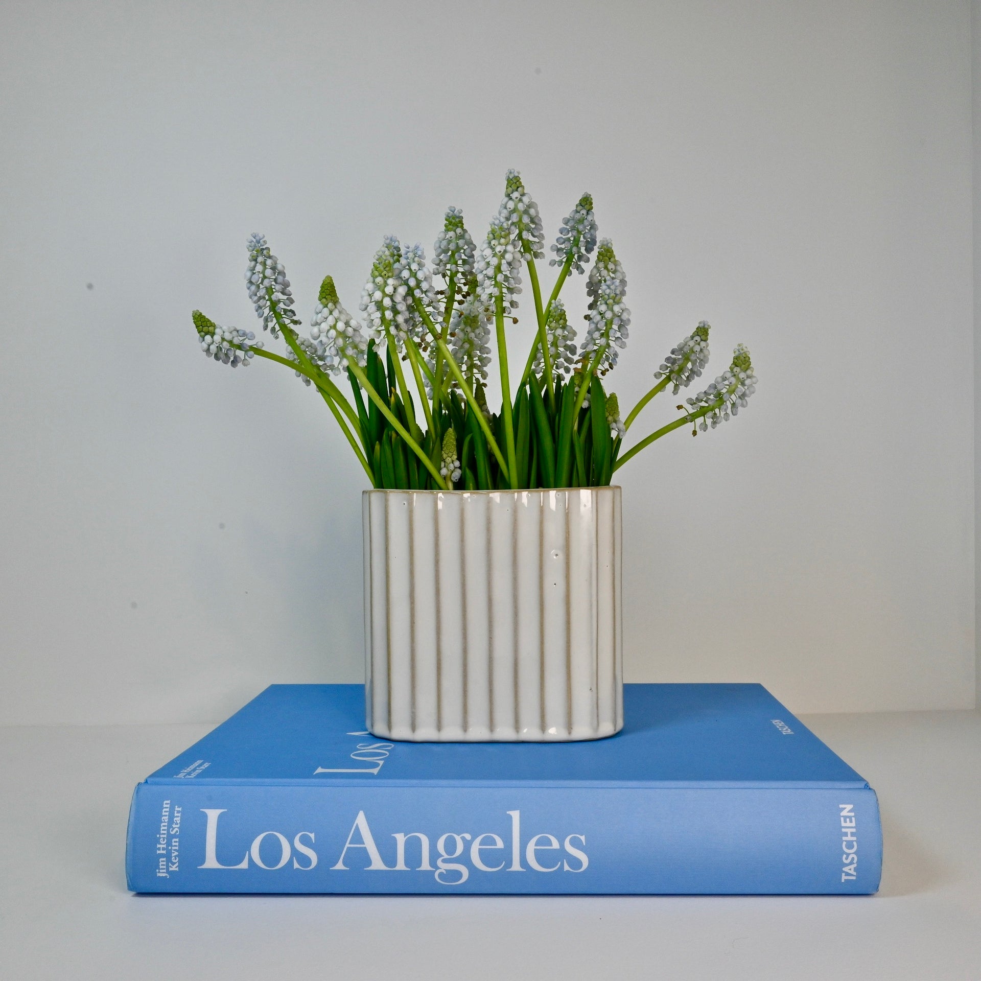 Ribbed Vase